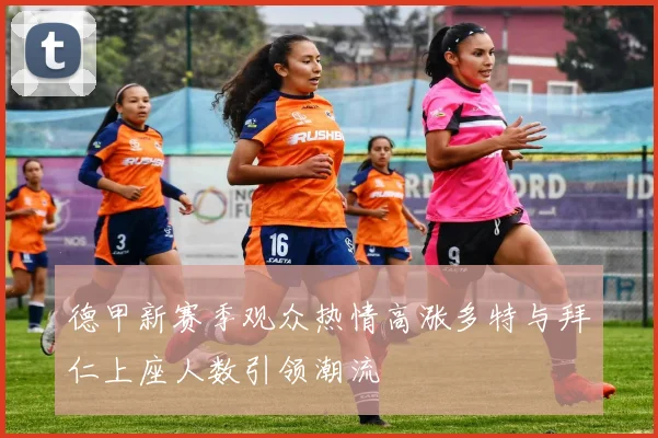 德甲新赛季观众热情高涨多特与拜仁上座人数引领潮流