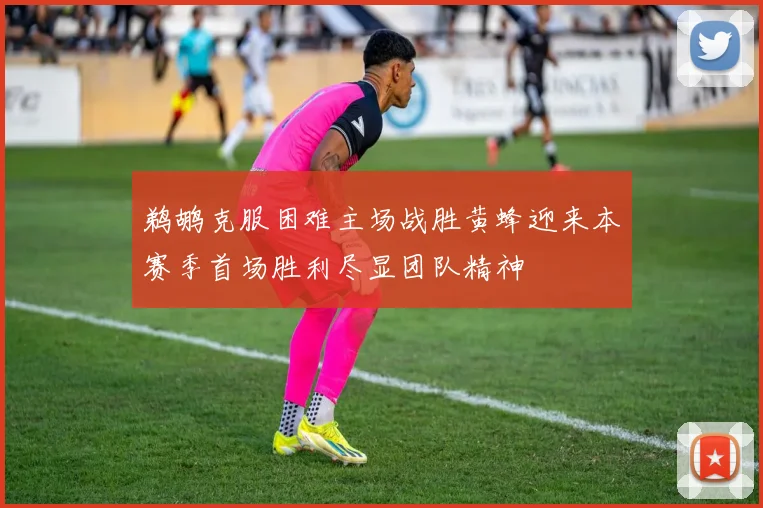 鹈鹕克服困难主场战胜黄蜂迎来本赛季首场胜利尽显团队精神